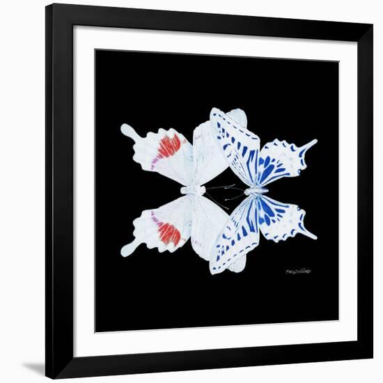 Miss Butterfly Duo Parisuthus Sq - X-Ray Black Edition-Philippe Hugonnard-Framed Photographic Print