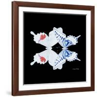 Miss Butterfly Duo Parisuthus Sq - X-Ray Black Edition-Philippe Hugonnard-Framed Photographic Print