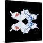 Miss Butterfly Duo Parisuthus Sq - X-Ray Black Edition-Philippe Hugonnard-Stretched Canvas