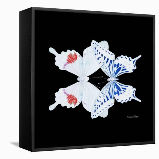 Miss Butterfly Duo Parisuthus Sq - X-Ray Black Edition-Philippe Hugonnard-Framed Stretched Canvas