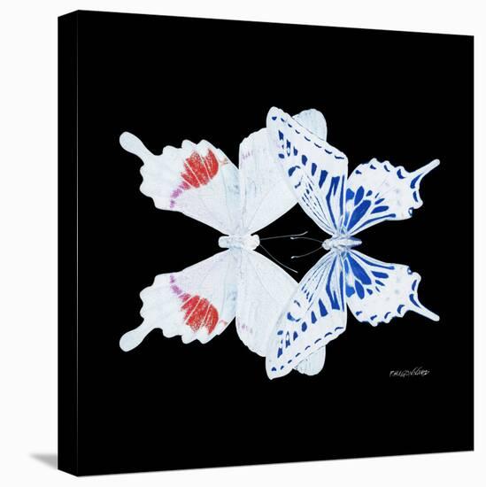Miss Butterfly Duo Parisuthus Sq - X-Ray Black Edition-Philippe Hugonnard-Stretched Canvas