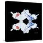 Miss Butterfly Duo Parisuthus Sq - X-Ray Black Edition-Philippe Hugonnard-Stretched Canvas