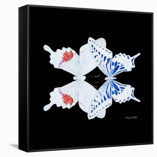 Miss Butterfly Duo Parisuthus Sq - X-Ray Black Edition-Philippe Hugonnard-Framed Stretched Canvas