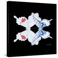 Miss Butterfly Duo Parisuthus Sq - X-Ray Black Edition-Philippe Hugonnard-Stretched Canvas