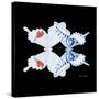 Miss Butterfly Duo Parisuthus Sq - X-Ray Black Edition-Philippe Hugonnard-Stretched Canvas