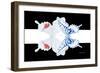 Miss Butterfly Duo Parisuthus - X-Ray B&W Edition II-Philippe Hugonnard-Framed Photographic Print