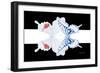 Miss Butterfly Duo Parisuthus - X-Ray B&W Edition II-Philippe Hugonnard-Framed Photographic Print