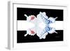 Miss Butterfly Duo Parisuthus - X-Ray B&W Edition II-Philippe Hugonnard-Framed Photographic Print