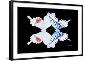 Miss Butterfly Duo Parisuthus - X-Ray Black Edition-Philippe Hugonnard-Framed Photographic Print