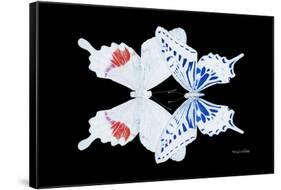 Miss Butterfly Duo Parisuthus - X-Ray Black Edition-Philippe Hugonnard-Framed Stretched Canvas