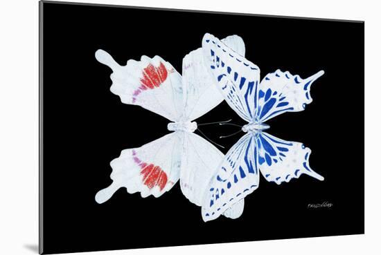 Miss Butterfly Duo Parisuthus - X-Ray Black Edition-Philippe Hugonnard-Mounted Photographic Print