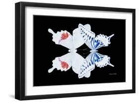 Miss Butterfly Duo Parisuthus - X-Ray Black Edition-Philippe Hugonnard-Framed Premium Photographic Print
