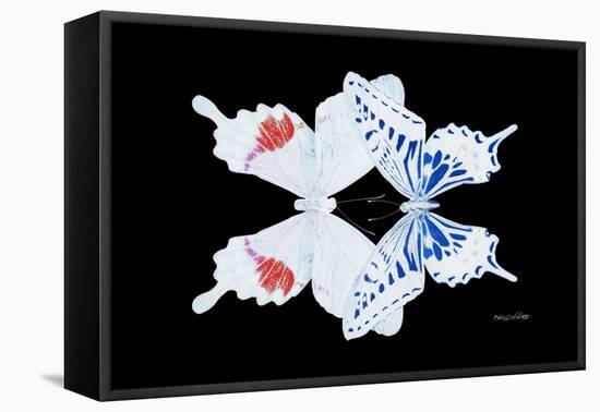 Miss Butterfly Duo Parisuthus - X-Ray Black Edition-Philippe Hugonnard-Framed Stretched Canvas