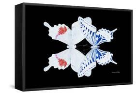 Miss Butterfly Duo Parisuthus - X-Ray Black Edition-Philippe Hugonnard-Framed Stretched Canvas