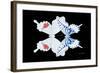 Miss Butterfly Duo Parisuthus - X-Ray Black Edition-Philippe Hugonnard-Framed Photographic Print