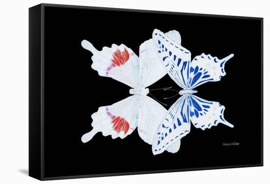 Miss Butterfly Duo Parisuthus - X-Ray Black Edition-Philippe Hugonnard-Framed Stretched Canvas