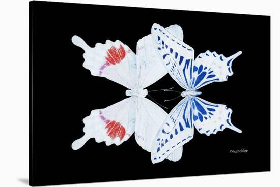 Miss Butterfly Duo Parisuthus - X-Ray Black Edition-Philippe Hugonnard-Stretched Canvas