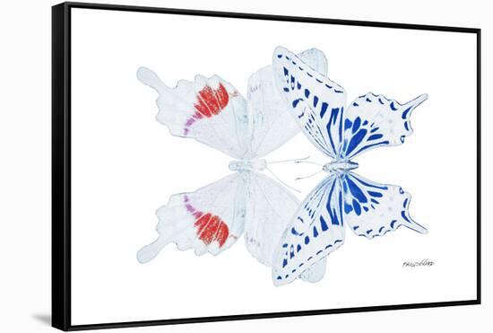 Miss Butterfly Duo Parisuthus - X-Ray White Edition-Philippe Hugonnard-Framed Stretched Canvas