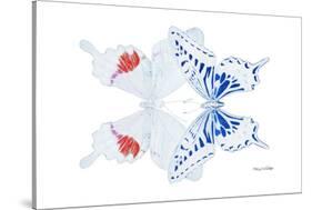 Miss Butterfly Duo Parisuthus - X-Ray White Edition-Philippe Hugonnard-Stretched Canvas