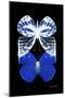 Miss Butterfly Duo Priopomia II - X-Ray Black Edition-Philippe Hugonnard-Mounted Photographic Print