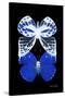 Miss Butterfly Duo Priopomia II - X-Ray Black Edition-Philippe Hugonnard-Stretched Canvas