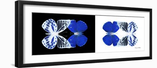 Miss Butterfly Duo Priopomia Pan - X-Ray B&W Edition-Philippe Hugonnard-Framed Photographic Print