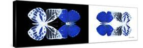 Miss Butterfly Duo Priopomia Pan - X-Ray B&W Edition-Philippe Hugonnard-Stretched Canvas
