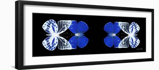 Miss Butterfly Duo Priopomia Pan - X-Ray Black Edition II-Philippe Hugonnard-Framed Photographic Print