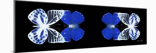 Miss Butterfly Duo Priopomia Pan - X-Ray Black Edition II-Philippe Hugonnard-Mounted Photographic Print
