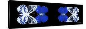 Miss Butterfly Duo Priopomia Pan - X-Ray Black Edition II-Philippe Hugonnard-Stretched Canvas