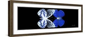 Miss Butterfly Duo Priopomia Pan - X-Ray Black Edition-Philippe Hugonnard-Framed Photographic Print