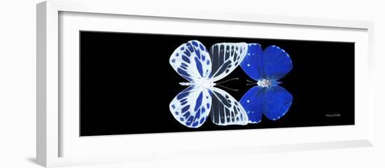 Miss Butterfly Duo Priopomia Pan - X-Ray Black Edition-Philippe Hugonnard-Framed Photographic Print