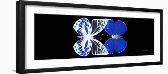 Miss Butterfly Duo Priopomia Pan - X-Ray Black Edition-Philippe Hugonnard-Framed Photographic Print