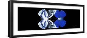 Miss Butterfly Duo Priopomia Pan - X-Ray Black Edition-Philippe Hugonnard-Framed Photographic Print