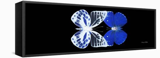 Miss Butterfly Duo Priopomia Pan - X-Ray Black Edition-Philippe Hugonnard-Framed Stretched Canvas