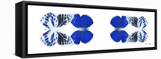 Miss Butterfly Duo Priopomia Pan - X-Ray White Edition II-Philippe Hugonnard-Framed Stretched Canvas