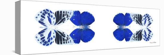 Miss Butterfly Duo Priopomia Pan - X-Ray White Edition II-Philippe Hugonnard-Stretched Canvas