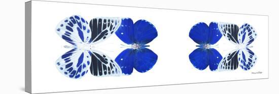 Miss Butterfly Duo Priopomia Pan - X-Ray White Edition II-Philippe Hugonnard-Stretched Canvas