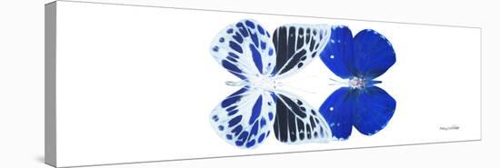 Miss Butterfly Duo Priopomia Pan - X-Ray White Edition-Philippe Hugonnard-Stretched Canvas