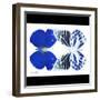 Miss Butterfly Duo Priopomia Sq - X-Ray B&W Edition-Philippe Hugonnard-Framed Photographic Print