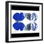 Miss Butterfly Duo Priopomia Sq - X-Ray B&W Edition-Philippe Hugonnard-Framed Photographic Print