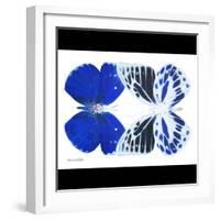 Miss Butterfly Duo Priopomia Sq - X-Ray B&W Edition-Philippe Hugonnard-Framed Photographic Print