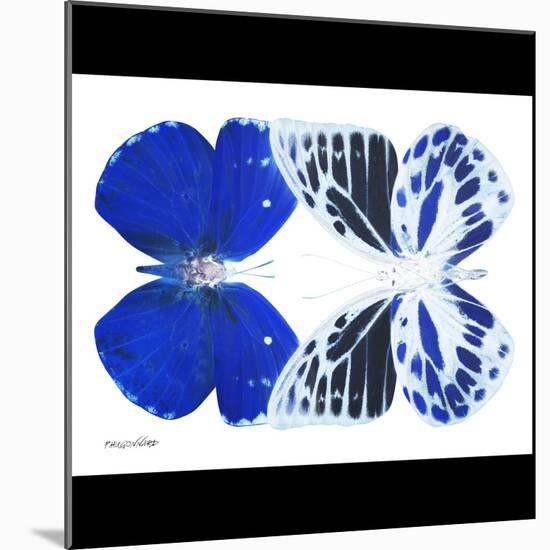 Miss Butterfly Duo Priopomia Sq - X-Ray B&W Edition-Philippe Hugonnard-Mounted Photographic Print