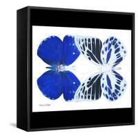 Miss Butterfly Duo Priopomia Sq - X-Ray B&W Edition-Philippe Hugonnard-Framed Stretched Canvas