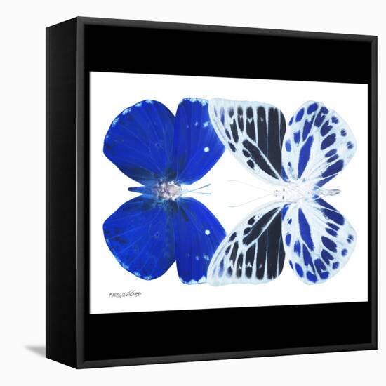 Miss Butterfly Duo Priopomia Sq - X-Ray B&W Edition-Philippe Hugonnard-Framed Stretched Canvas