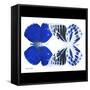 Miss Butterfly Duo Priopomia Sq - X-Ray B&W Edition-Philippe Hugonnard-Framed Stretched Canvas