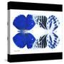 Miss Butterfly Duo Priopomia Sq - X-Ray B&W Edition-Philippe Hugonnard-Stretched Canvas