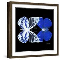 Miss Butterfly Duo Priopomia Sq - X-Ray Black Edition-Philippe Hugonnard-Framed Photographic Print