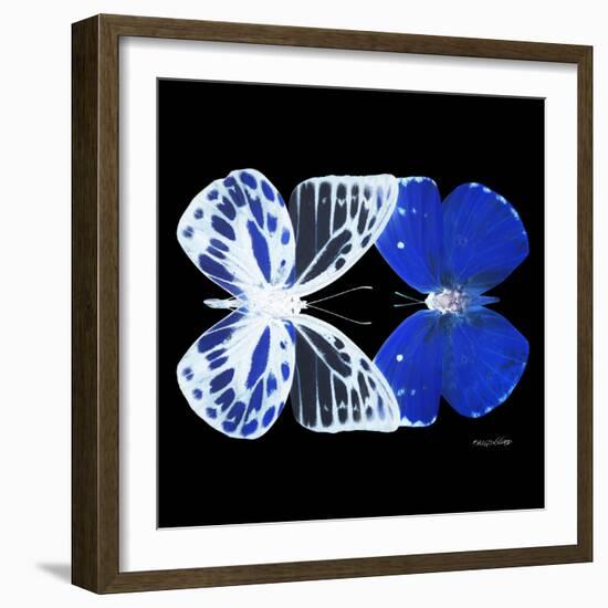 Miss Butterfly Duo Priopomia Sq - X-Ray Black Edition-Philippe Hugonnard-Framed Photographic Print