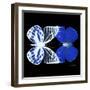 Miss Butterfly Duo Priopomia Sq - X-Ray Black Edition-Philippe Hugonnard-Framed Photographic Print